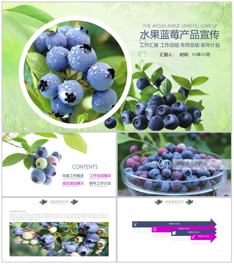 水果蓝莓产品宣传工作汇报PPT模板-办公资源网