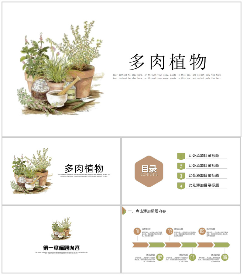 白色简约多肉植物工作汇报PPT模板-办公资源网