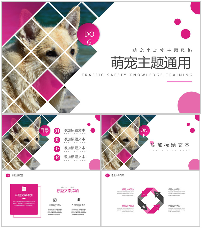 萌宠小动物主题风格PPT模板 (1)-办公资源网