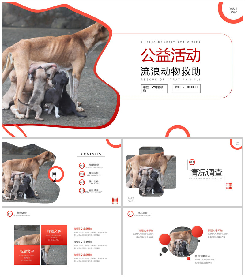 橙色爱心活动救助流浪动物公益活动策划方案步骤PPT模板-办公资源网