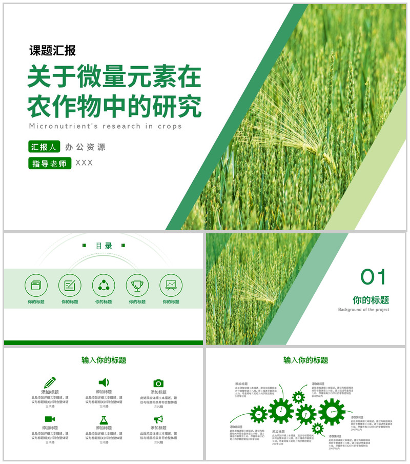 关于微量元素在农作物中的研究论文答辩PPT模板-办公资源网