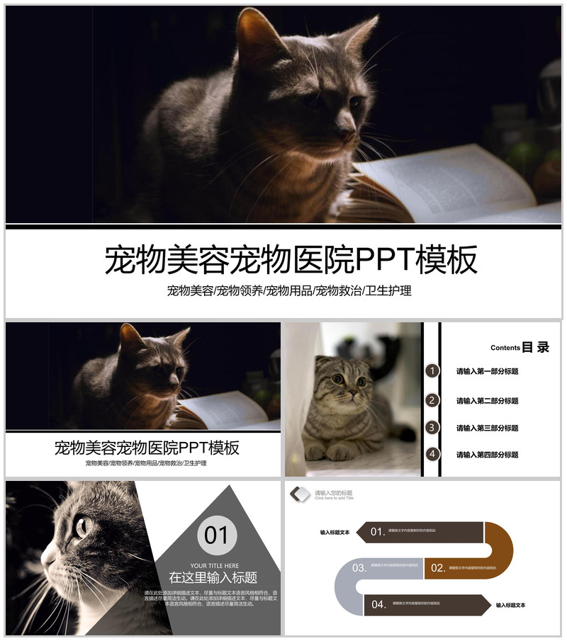 宠物美容宠物领养宠物医院PPT模板-办公资源网