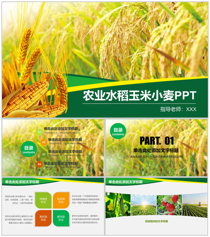 农业水稻玉米小麦农产品推广PPT模板-办公资源网