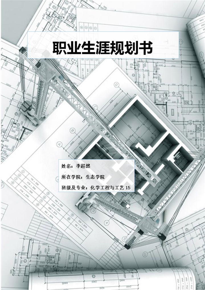 灰色商务风格化学工程与工艺大学生职业生涯规划书范本Word模板-办公资源网