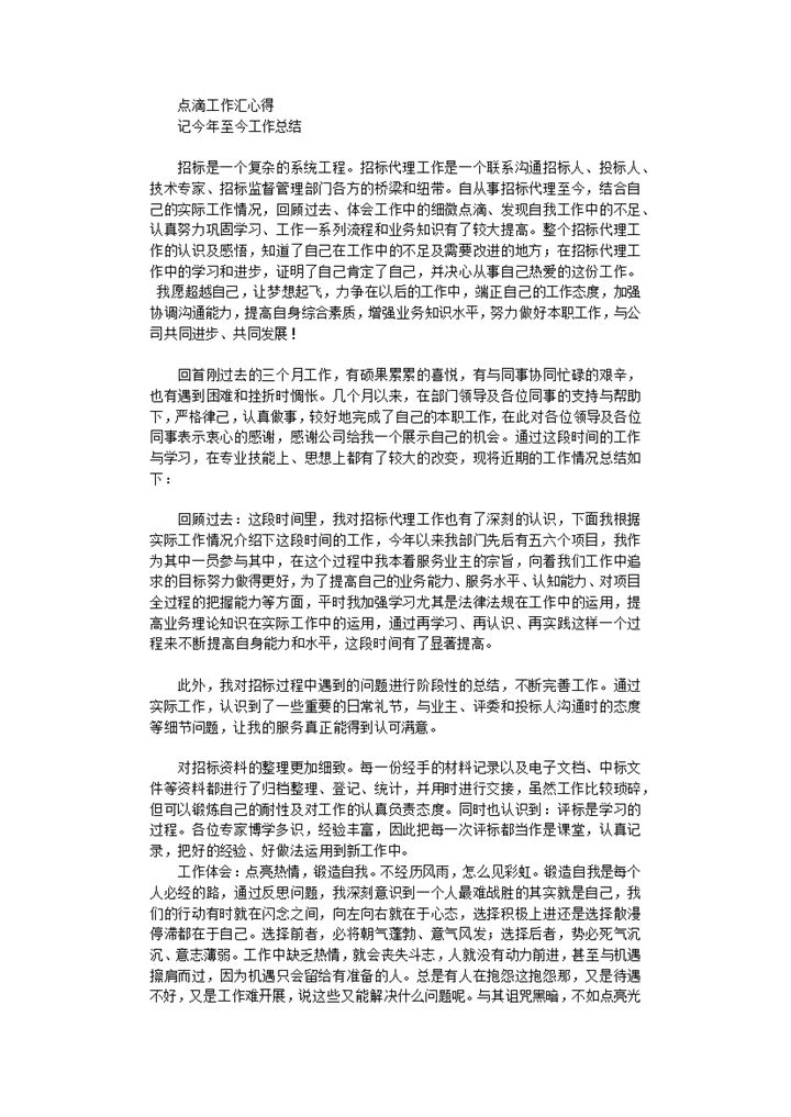 招标代理年终总结word模板-办公资源网