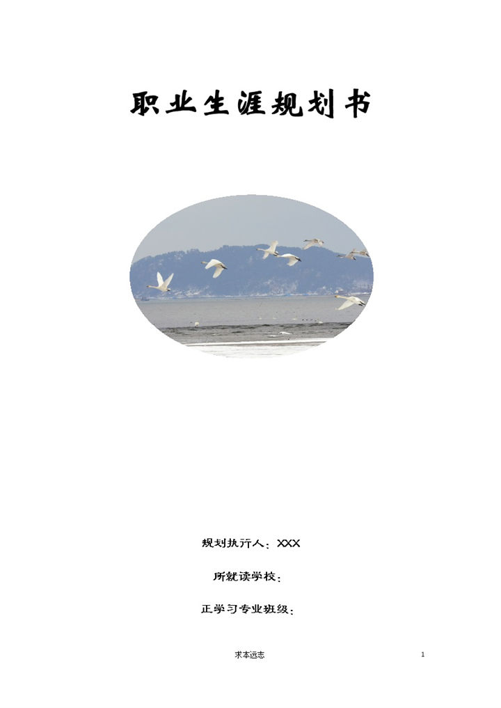 中药学专业大学生职业生涯规划书范本Word模板-办公资源网