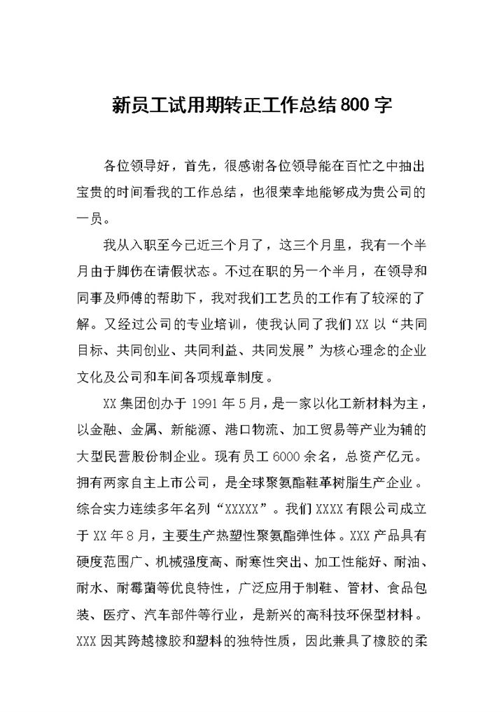 标准实用新员工试用期转正年终工作总结Word模板-办公资源网