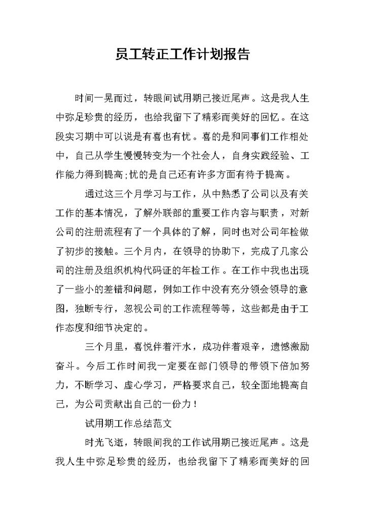 员工试用期满个人转正年终工作计划报告Word模板-办公资源网