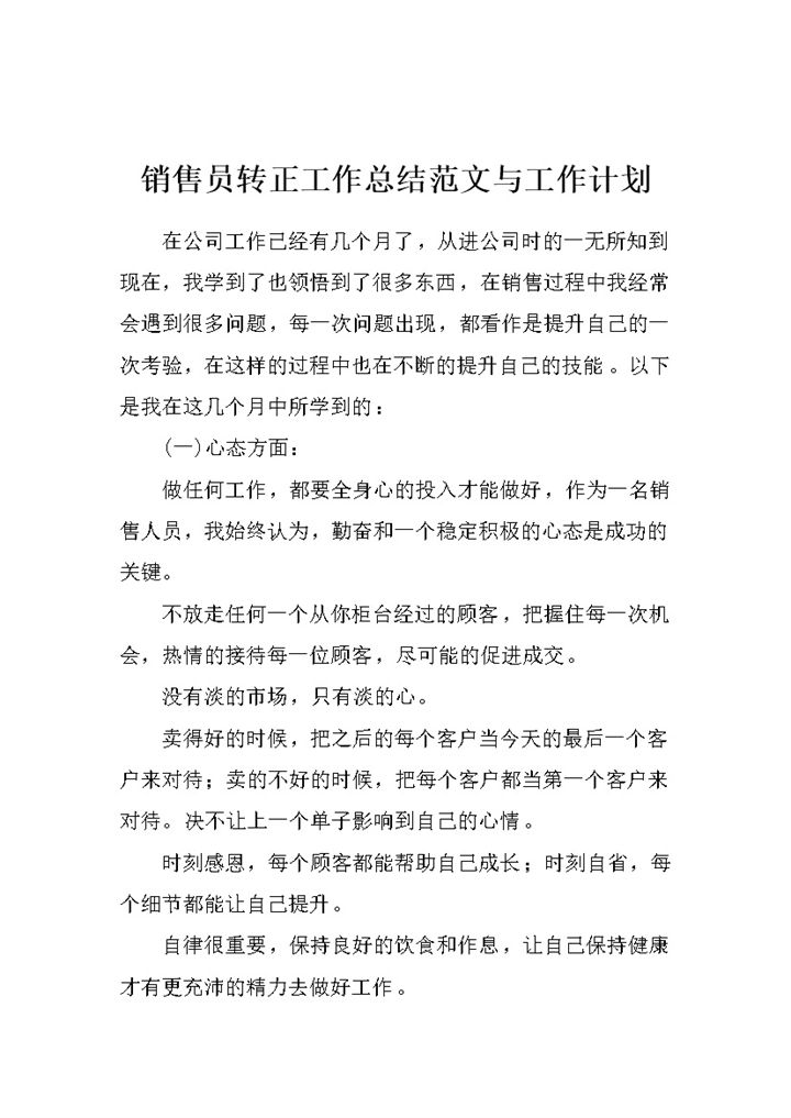 精选版销售员转正工作总结范文与工作计划范本Word模板-办公资源网