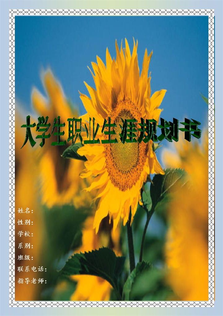 电子商务专业学生职业生涯规划书Word模板-办公资源网