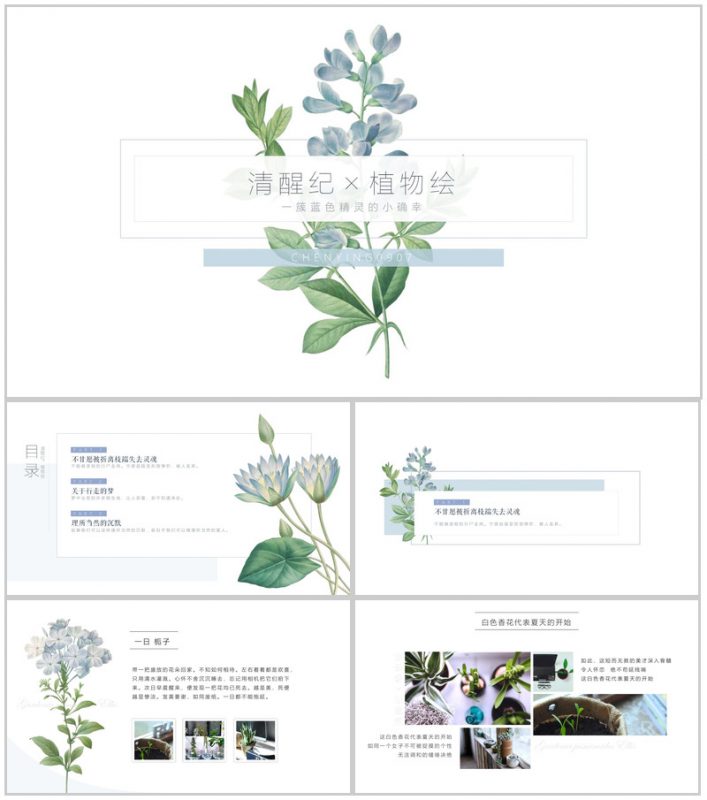 清新简约大气唯美植物语工作总结汇报PPT模板-办公资源网