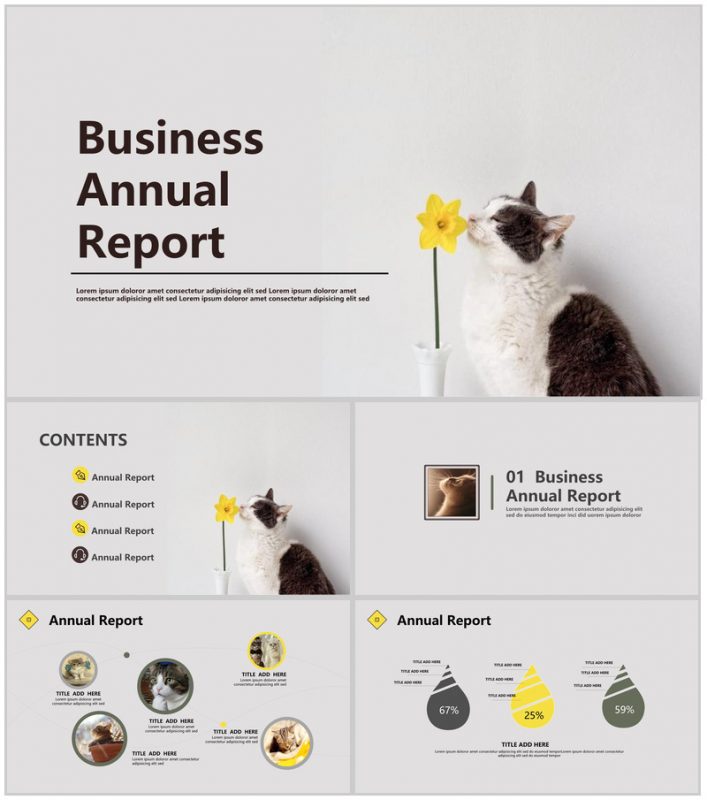 精美简约猫咪工作汇报总结PPT模板-办公资源网