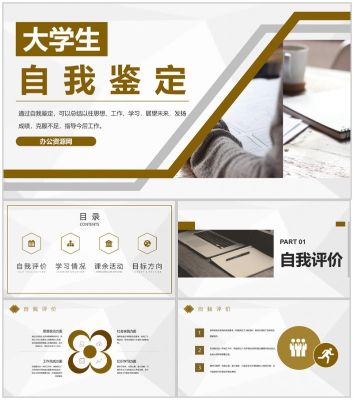 个人情况总结大学生自我鉴定审视自我专用PPT模板-办公资源网