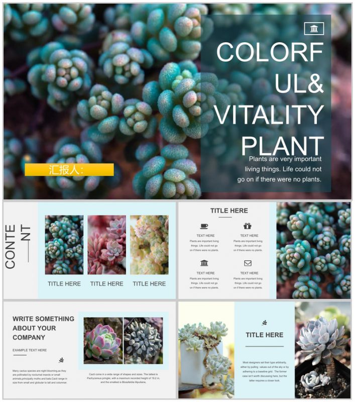 小清新多肉植物工作汇报PPT模板-办公资源网