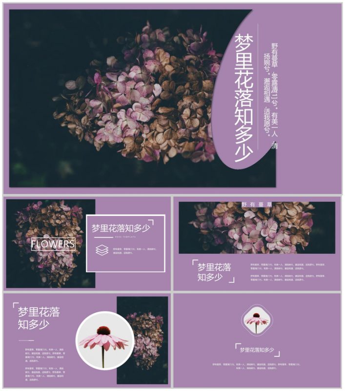欧美大气杂志风梦里花落知多少PPT模板-办公资源网