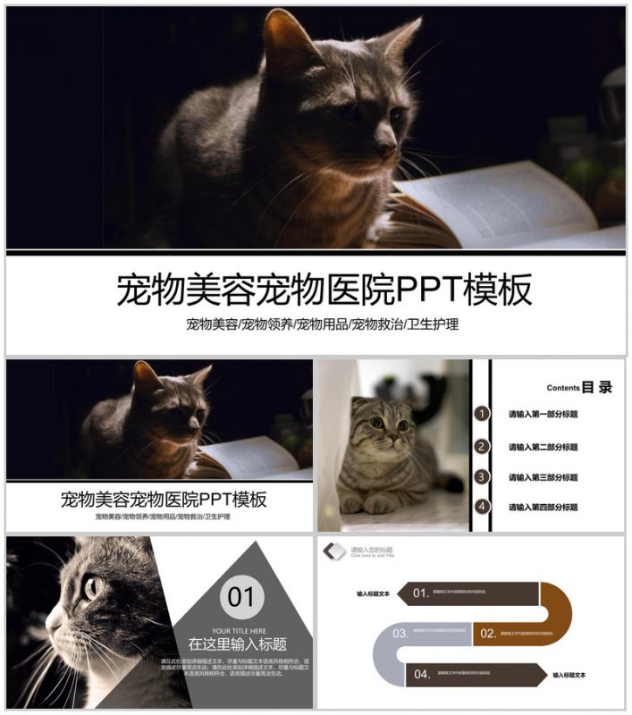 宠物美容宠物领养宠物医院PPT模板-办公资源网