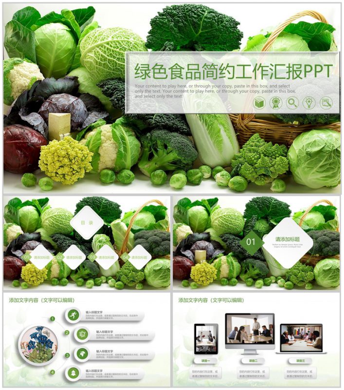 简约绿色食品健康饮食工作汇报PPT模板-办公资源网