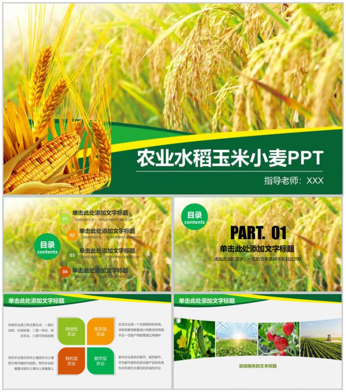农业水稻玉米小麦农产品推广PPT模板-办公资源网