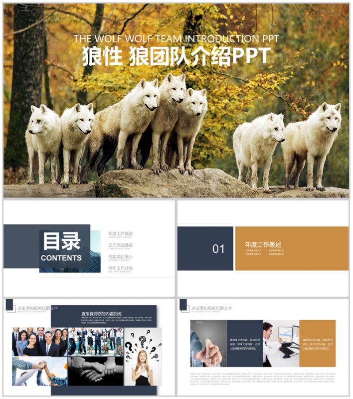 狼性狼团队企业文化团队精神PPT模板-办公资源网