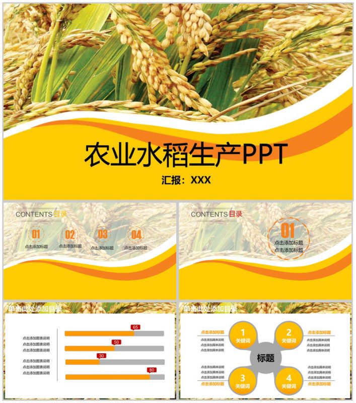 金黄色农业水稻生产PPT模板-办公资源网