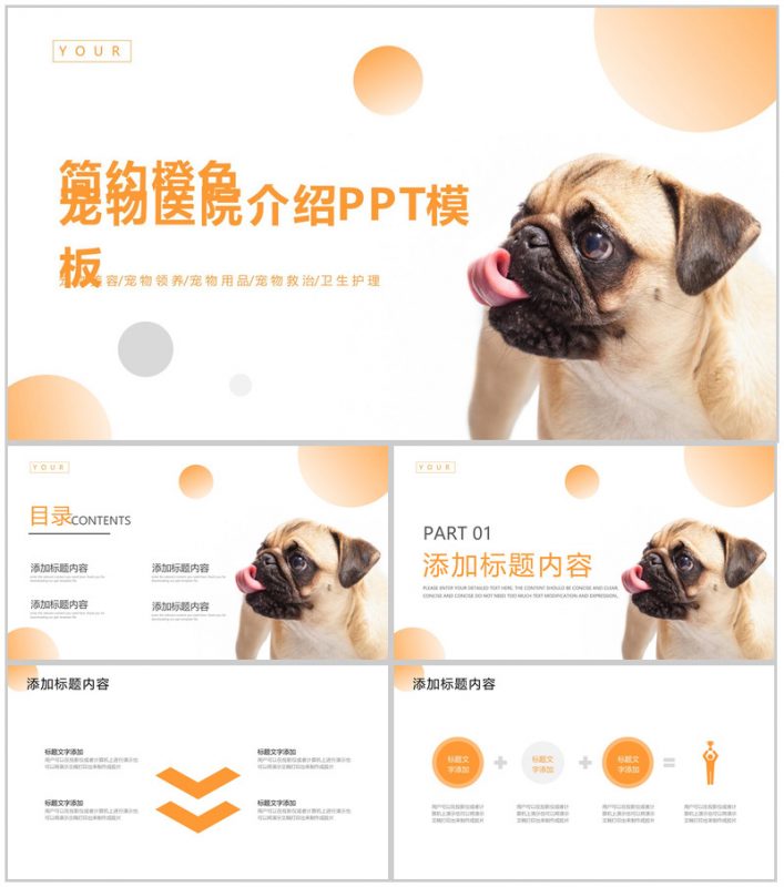 简约橙色宠物医院介绍PPT模板-办公资源网