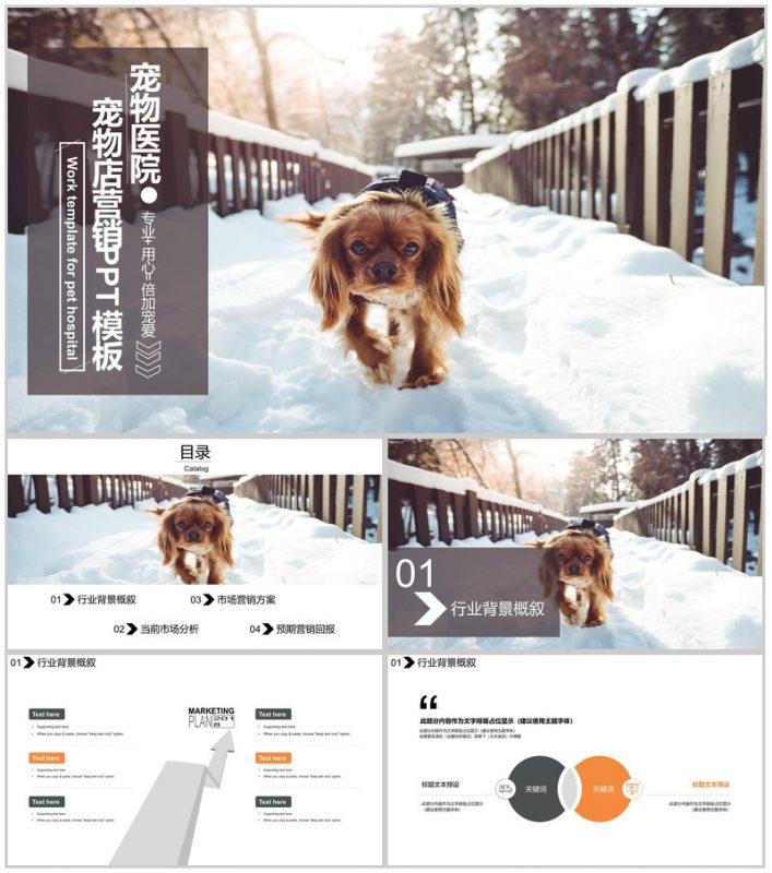 精致宠物店营销品牌推广PPT模板-办公资源网