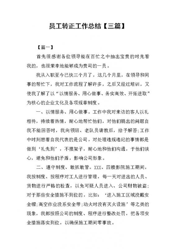 企业试用期员工个人转正年终工作总结Word模板-办公资源网
