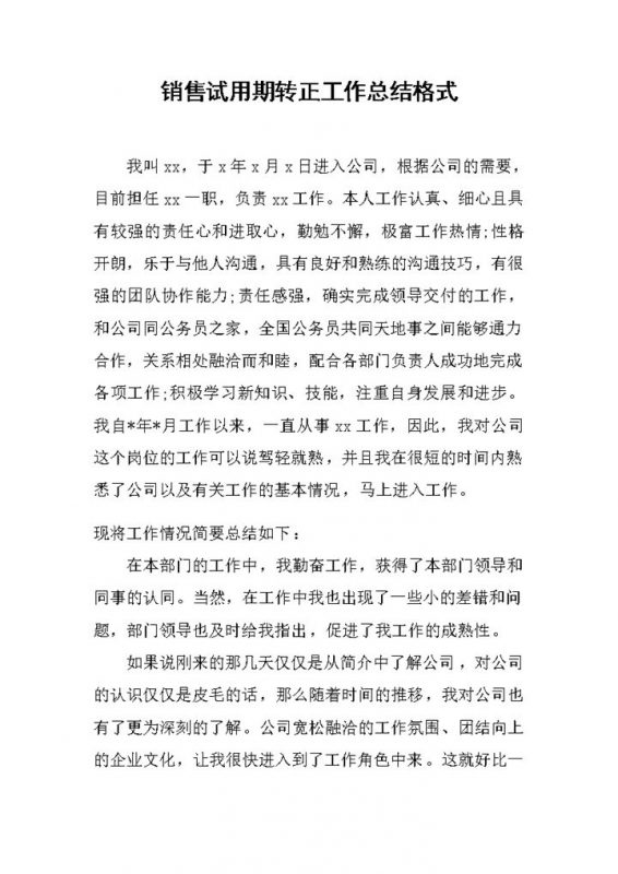 销售新员工试用期转正年终工作总结Word模板-办公资源网