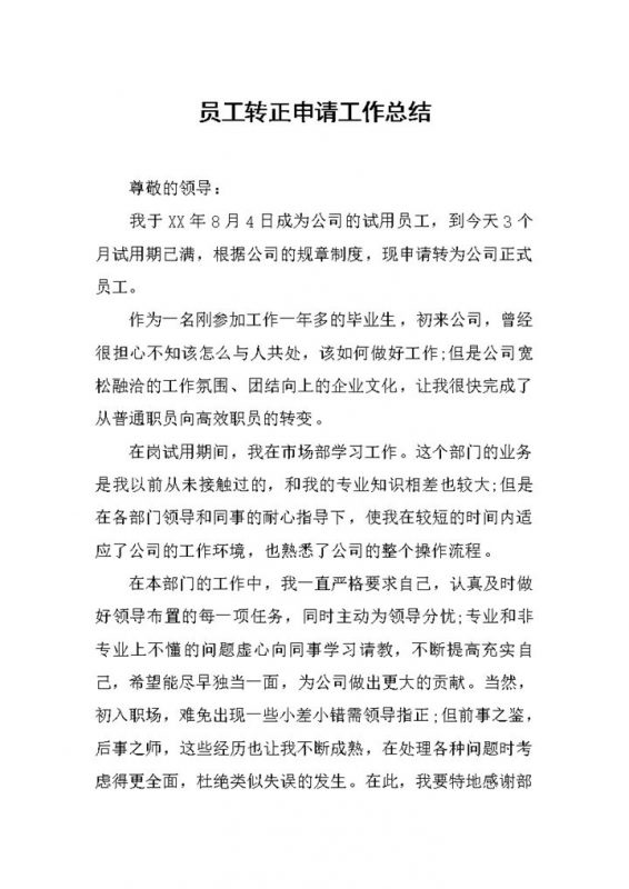 市场部员工转正申请工作总结年终总结Word模板-办公资源网