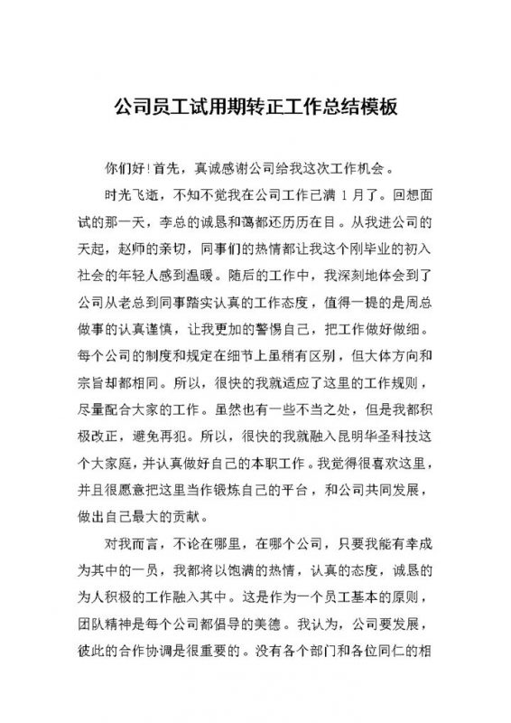全新整理的公司员工试用期转正工作总结Word模板-办公资源网