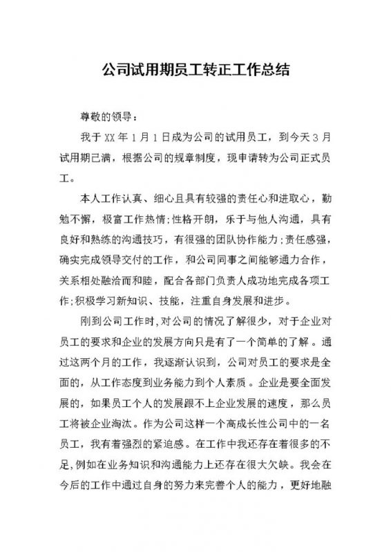 公司试用期员工转正个人工作总结范本Word模板-办公资源网