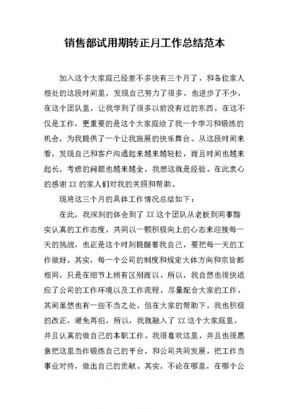 销售部试用期转正月工作年终总结范本Word模板-办公资源网