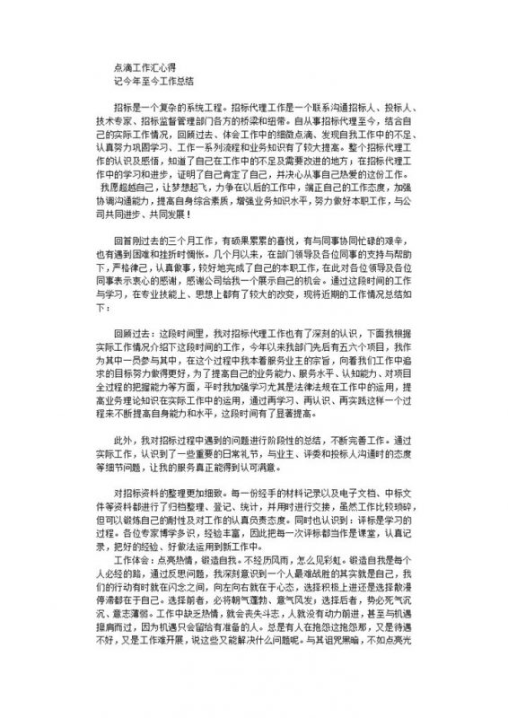 招标代理年终总结word模板-办公资源网