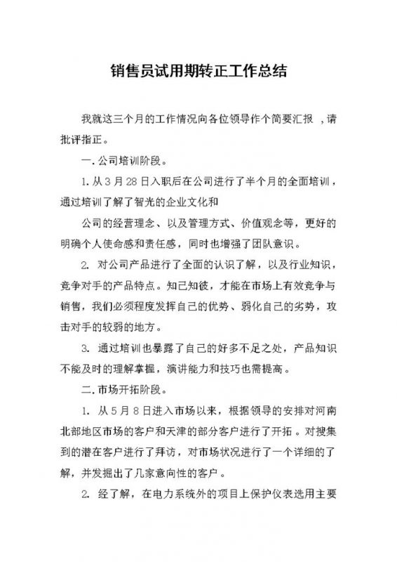 简约实用销售员试用期年终转正工作总结Word模板-办公资源网