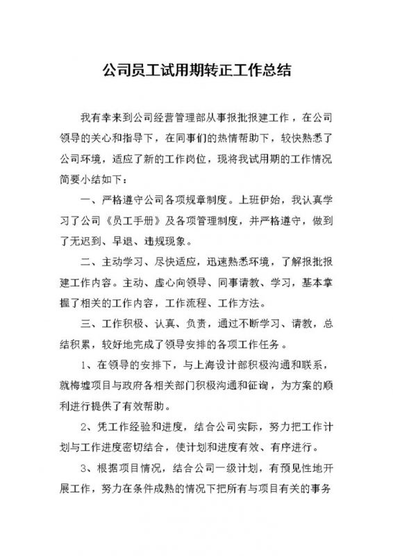 全新精选版公司员工试用期转正工作总结范本Word模板-办公资源网
