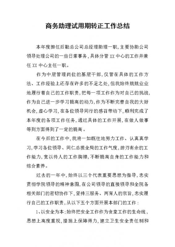 商务助理试用期年终转正个人工作总结Word模板-办公资源网