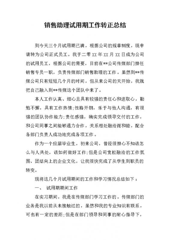销售助理试用期工作转正年终总结Word模板-办公资源网