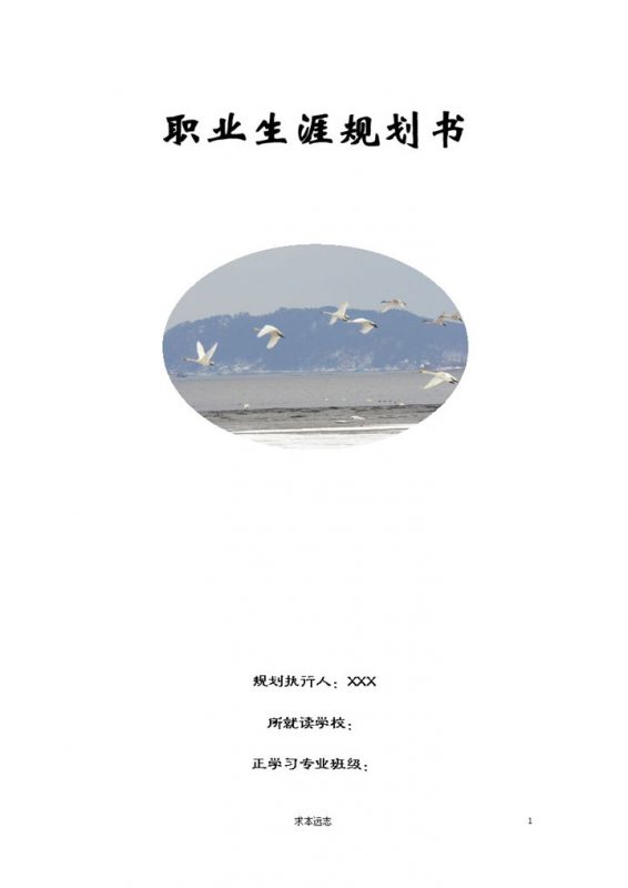 中药学专业大学生职业生涯规划书范本Word模板-办公资源网