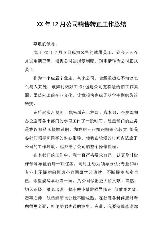 公司销售员工个人年终转正工作总结Word模板-办公资源网