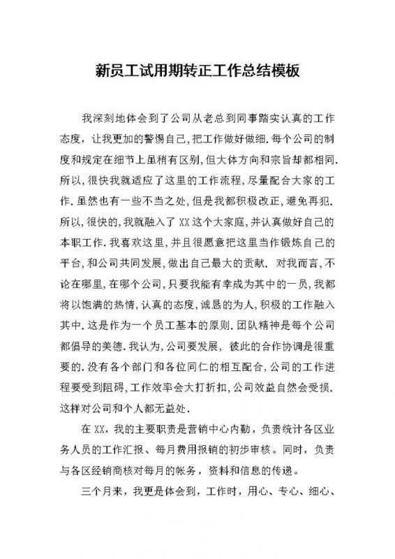 简洁通用新员工试用期年终转正工作总结Word模板-办公资源网