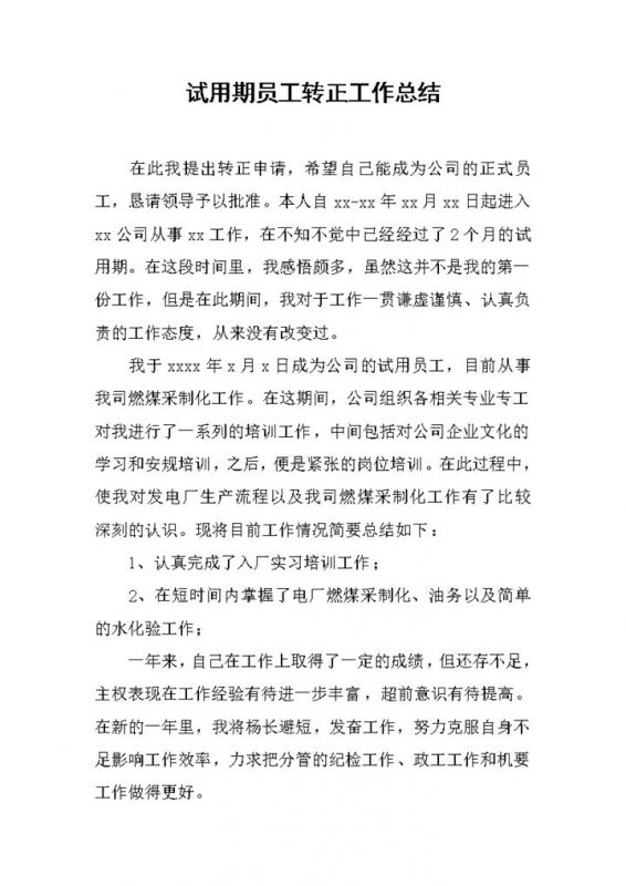 公司试用期员工个人转正年终工作总结Word模板-办公资源网