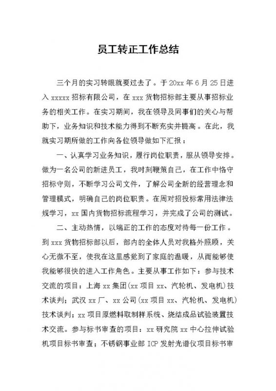 招标公司试用员工个人转正年终工作总结Word模板-办公资源网