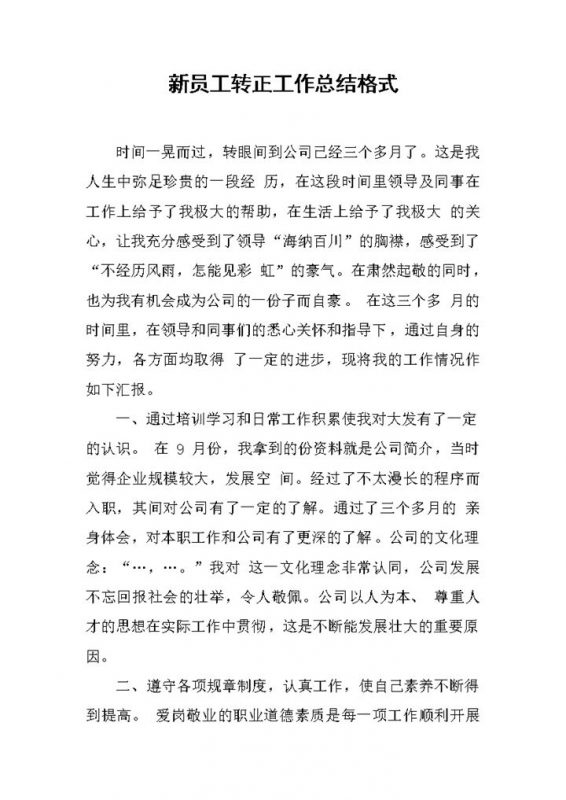 集团某部门新员工转正工作总结汇报Word模板-办公资源网
