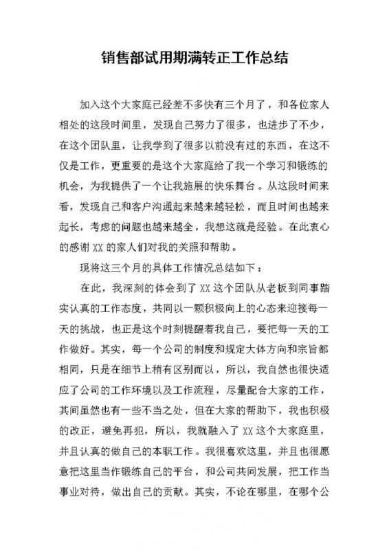经典实用销售部试用期满转正年终工作总结Word模板-办公资源网