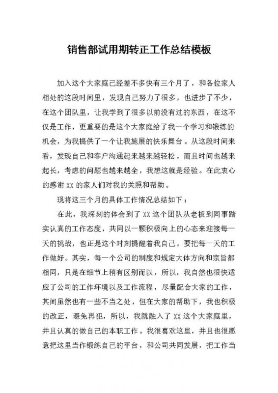 标准完整销售部员工试用期年终转正工作总结Word模板-办公资源网
