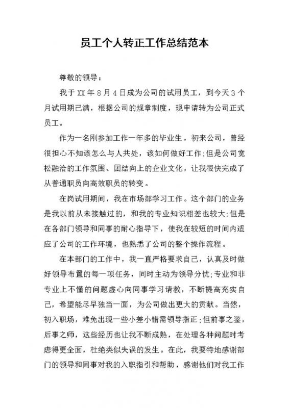公司试用员工个人转正年终工作总结范本Word模板-办公资源网