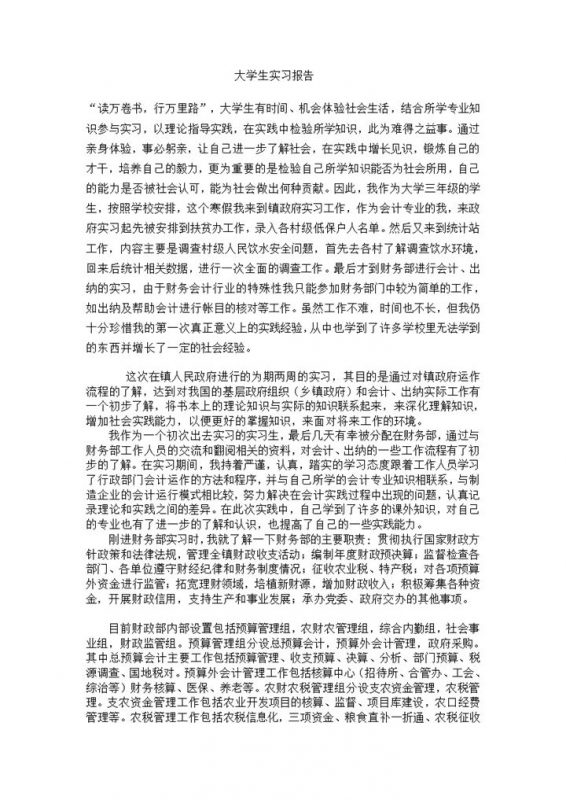 标准实用大学生政府会计岗位实习报告范本Word模板-办公资源网
