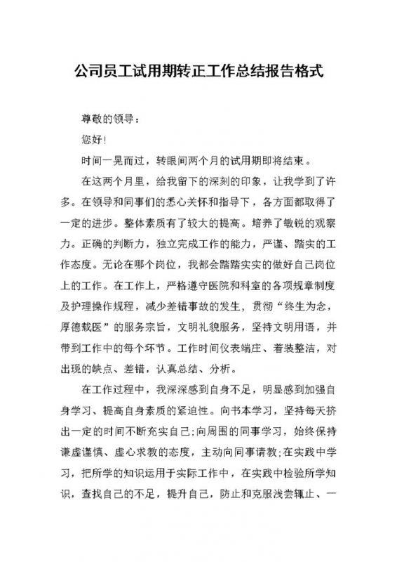 员工试用期转正工作总结报告格式范本Word模板-办公资源网