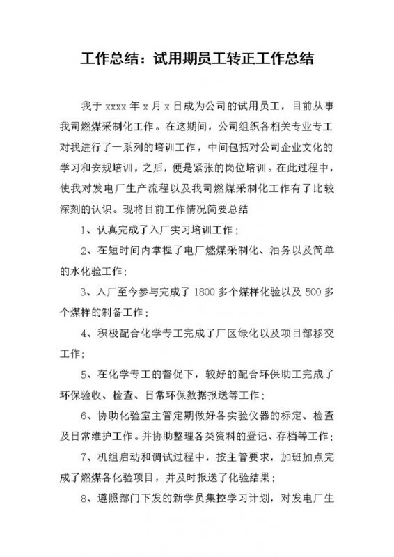 公司企业试用期员工个人年终转正工作总结Word模板-办公资源网