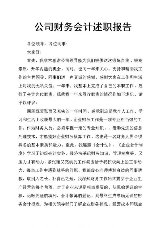 企业公司财务会计年终总结述职报告Word模板-办公资源网
